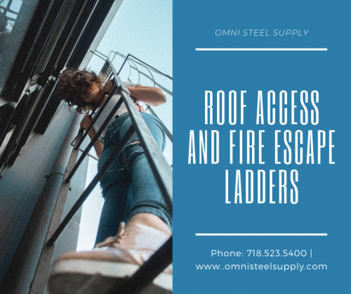 04-Roof-Access-And-Fire-Escape-Ladders3e3c1b80450afbb6.png