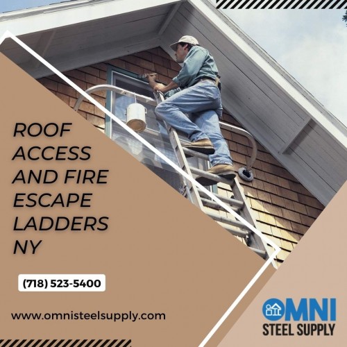 Roof-Access-And-Fire-Escape-Ladders-NY4b6b89fc8cb0edb5.jpg